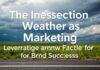 The Intersection of Weather and Marketing: Leveraging Environmental Factors for Brand Success The Intersection of Weather and Marketing: Leveraging Environmental Factors for Brand Success